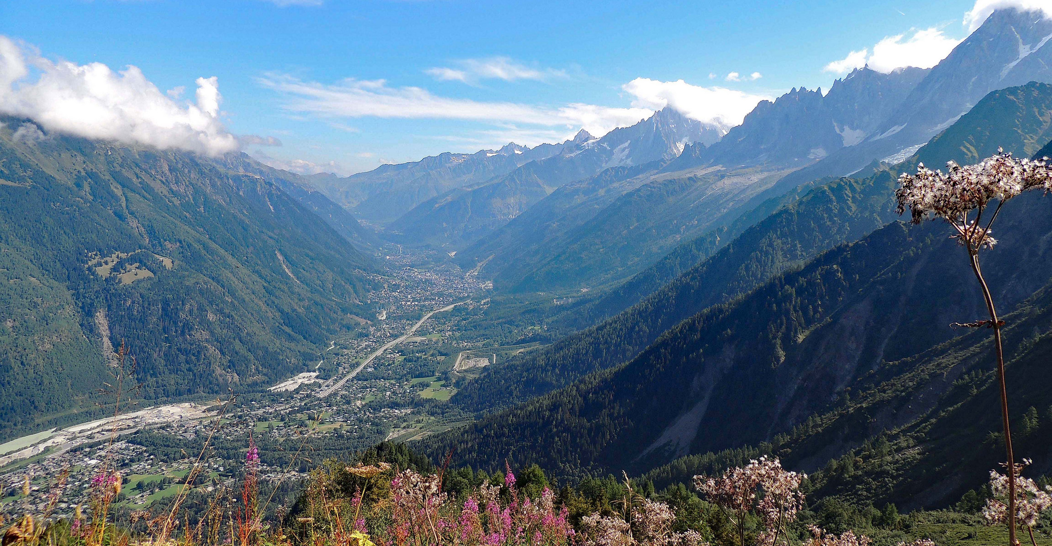 Vallée de Chamonix depuis le mont Lachat