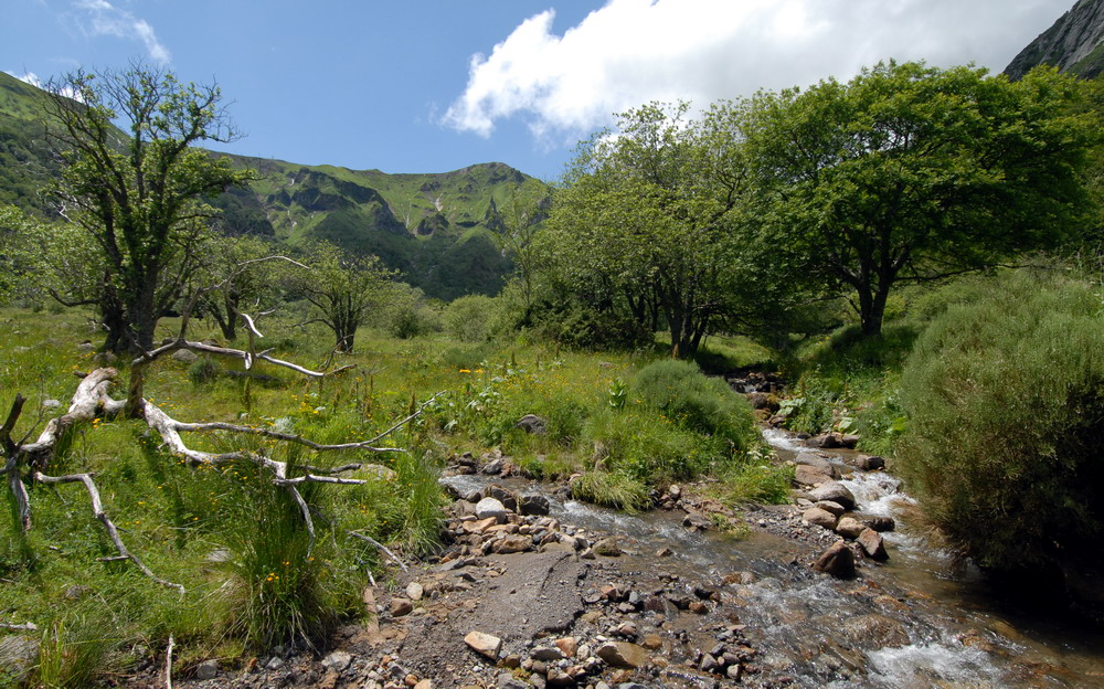 Vallée de Chaudefour