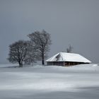 Vallée de Joux / Switzerland