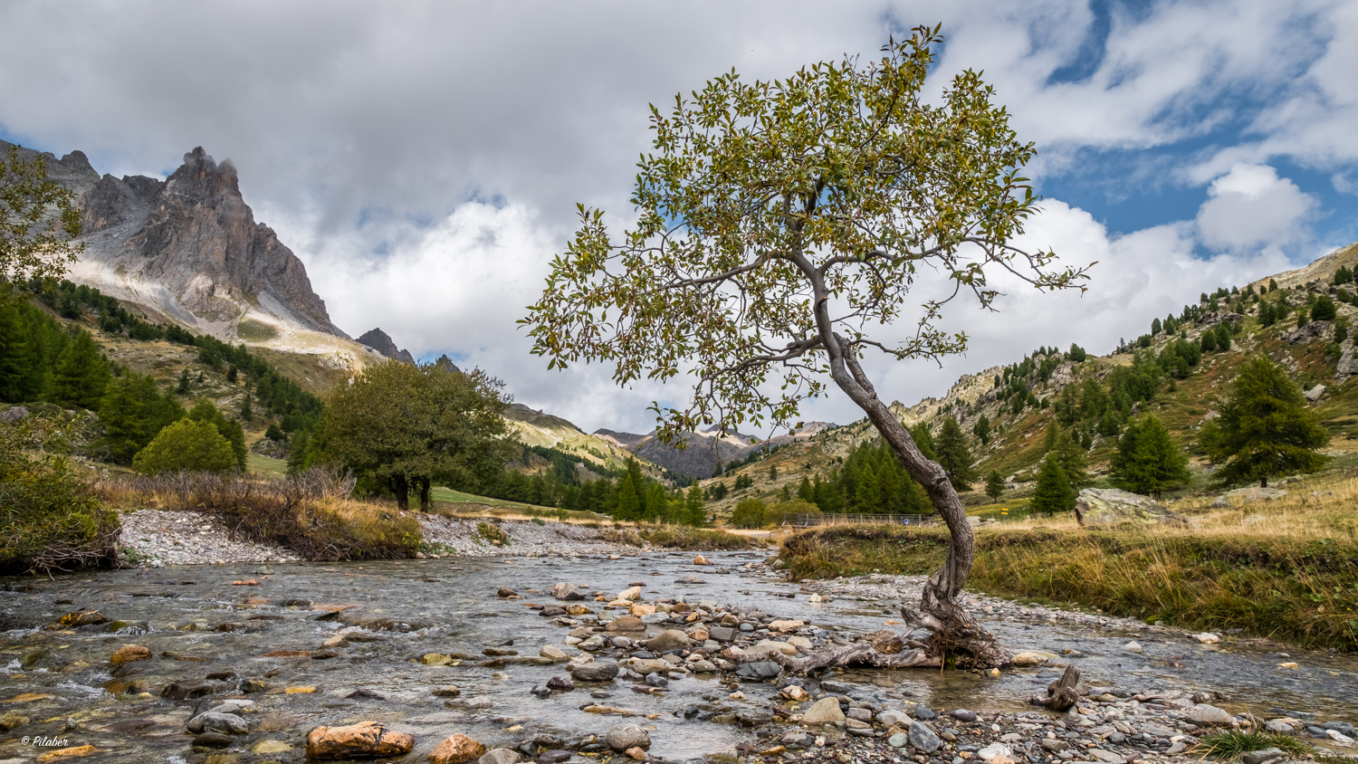 Vallée de la Clarée