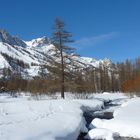 Vallée de la Clarée