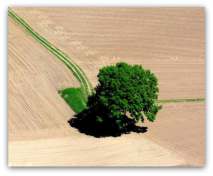 vallée de la Dordogne..