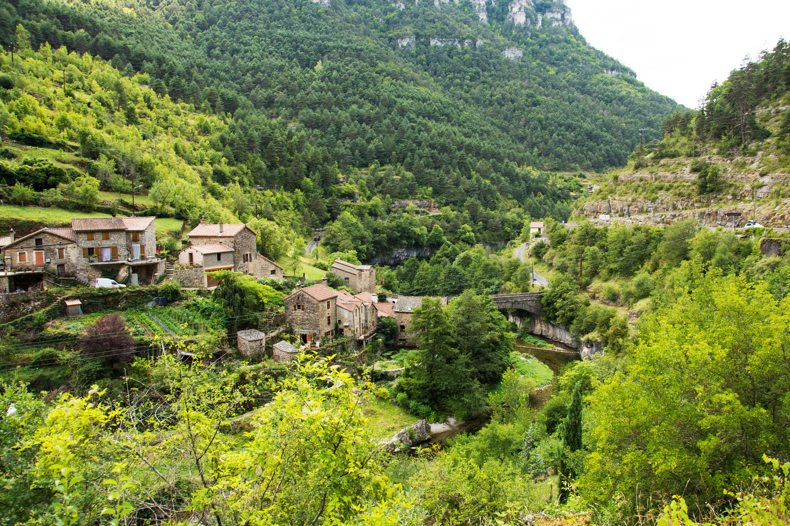 Vallée de la Jonte 1