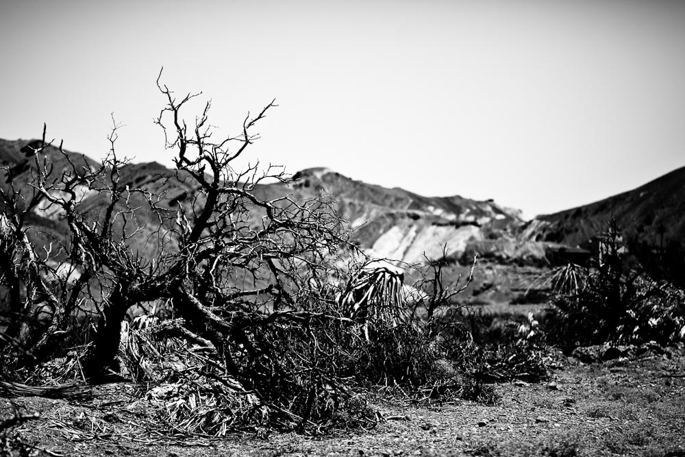 Vallée de la mort - USA