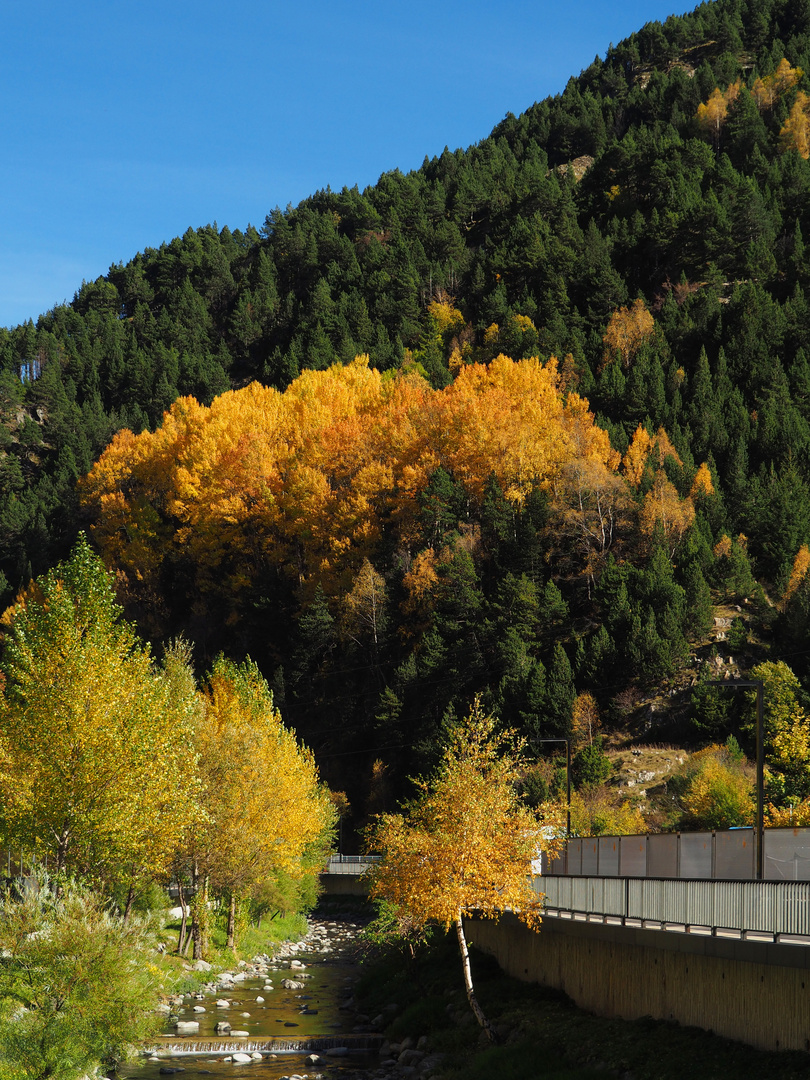 Vallée de la Valira d’Orient près de Canillo  -  Andorre