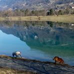 Vallée de l'Arve.07