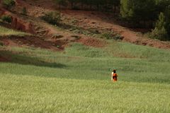 vallée de l'Asni .Maroc