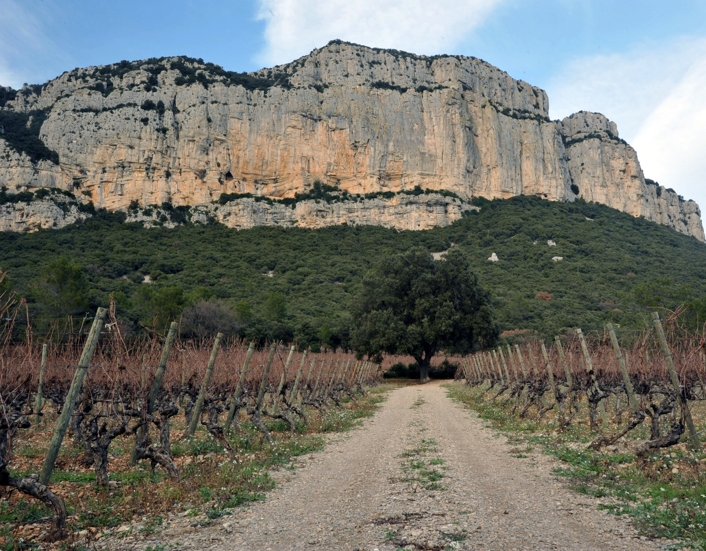 Vallée de l'Hortus