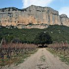 Vallée de l'Hortus