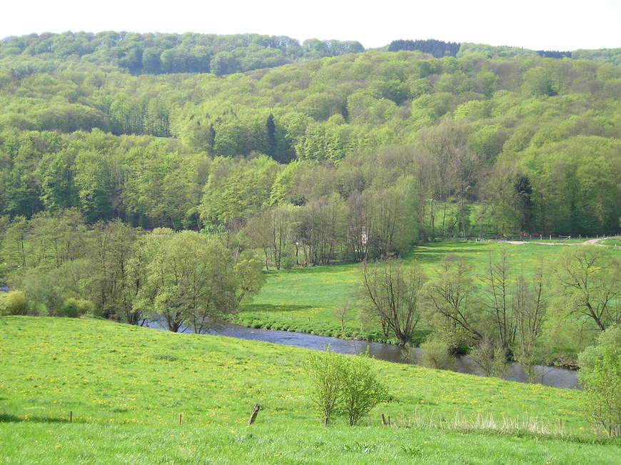 Vallée de l'Our 2005