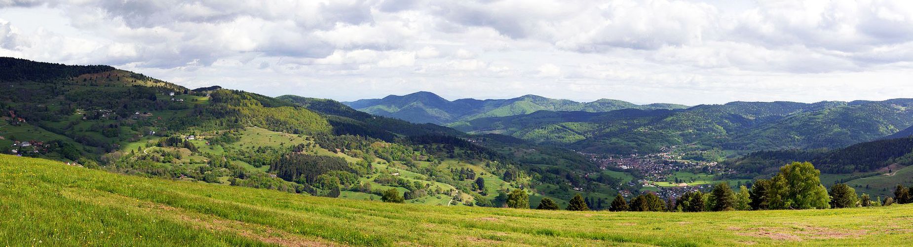 Vallée de Munster .