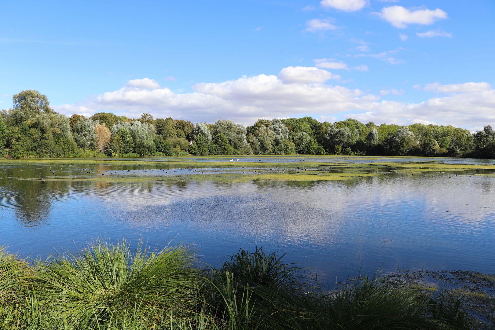 Vallée de Somme