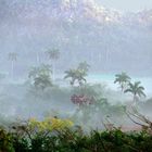 Vallée de Vinales