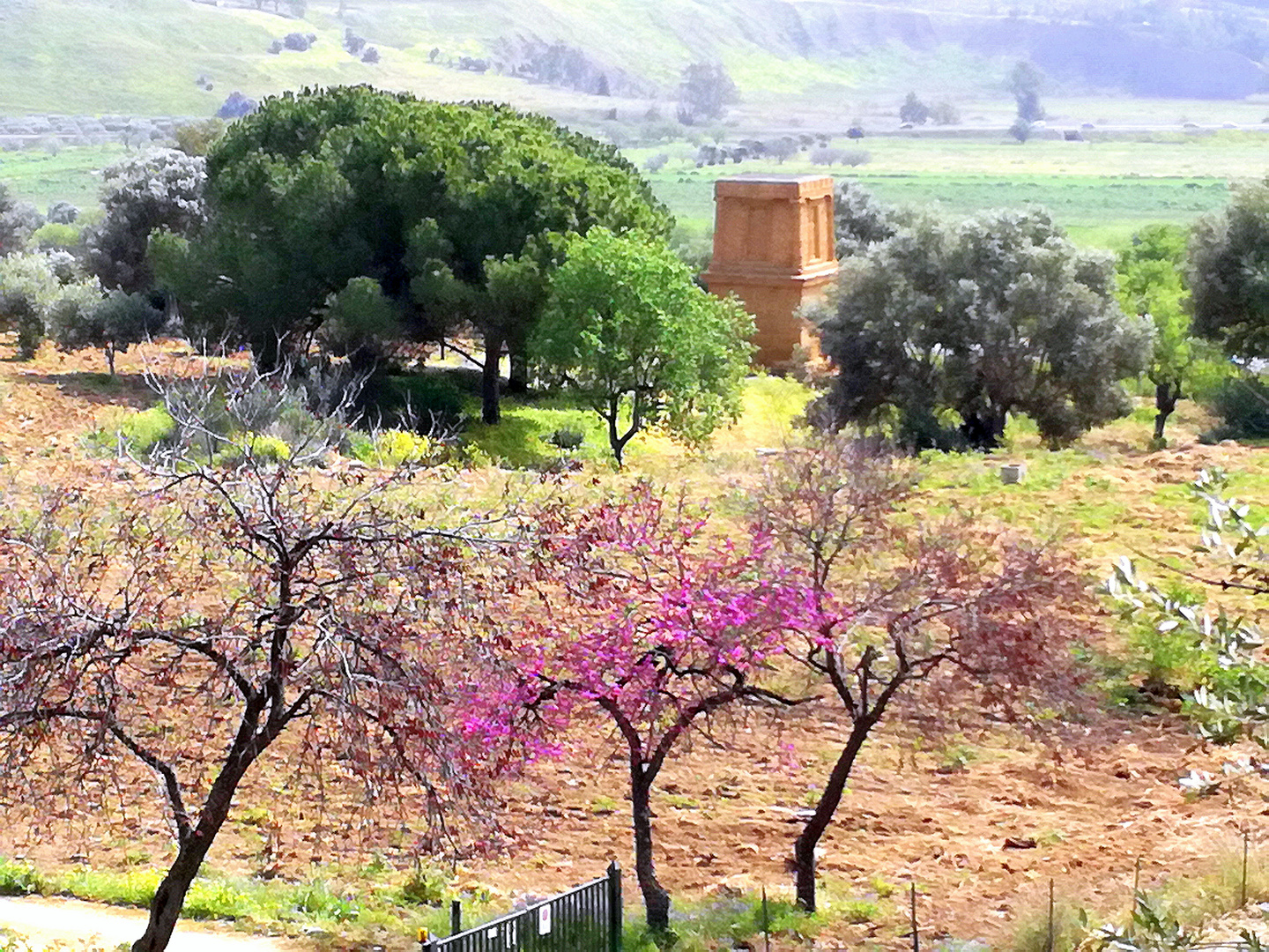 Vallée des Temples, Agrigente, Sicile