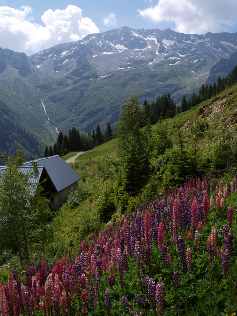 vallée du haut breda