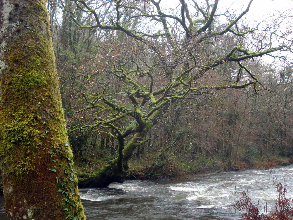 vallée du stangala quimper