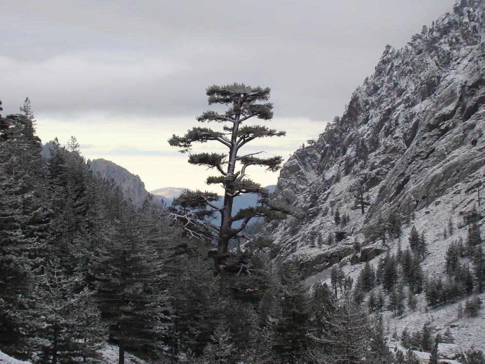 Vallée enneigée en Corse