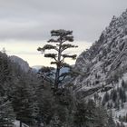 Vallée enneigée en Corse