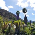 Vallehermoso - La Gomera 