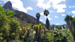 Vallehermoso - La Gomera 