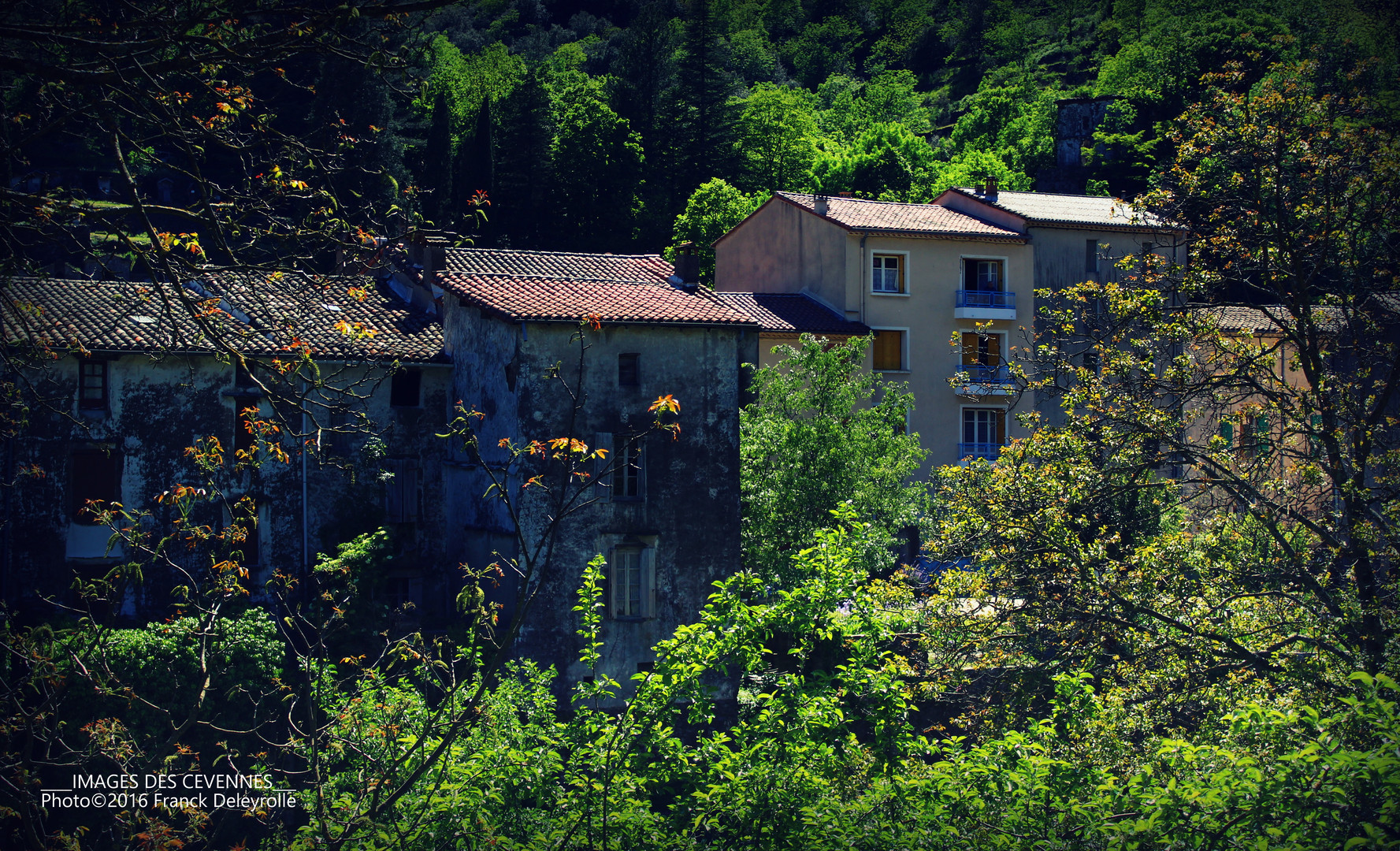 Valleraugue (Cévennes)