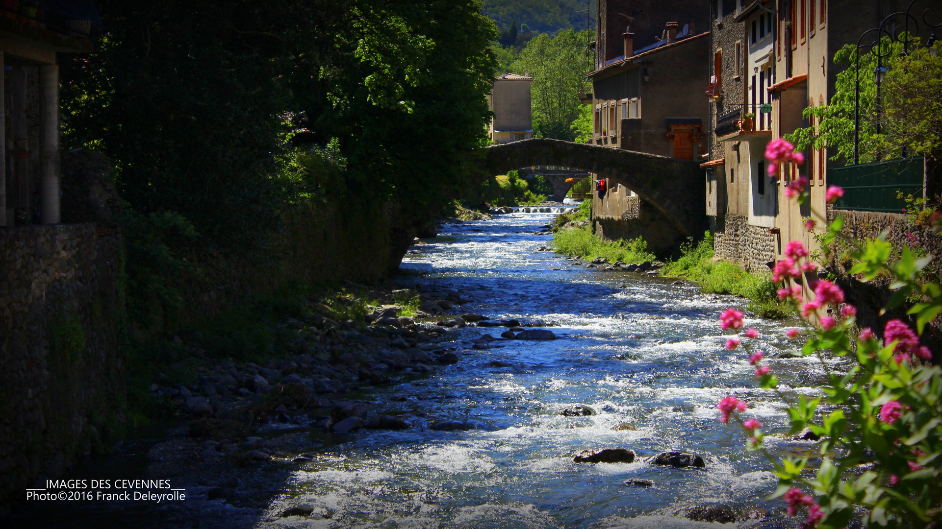 Valleraugue (Cévennes)