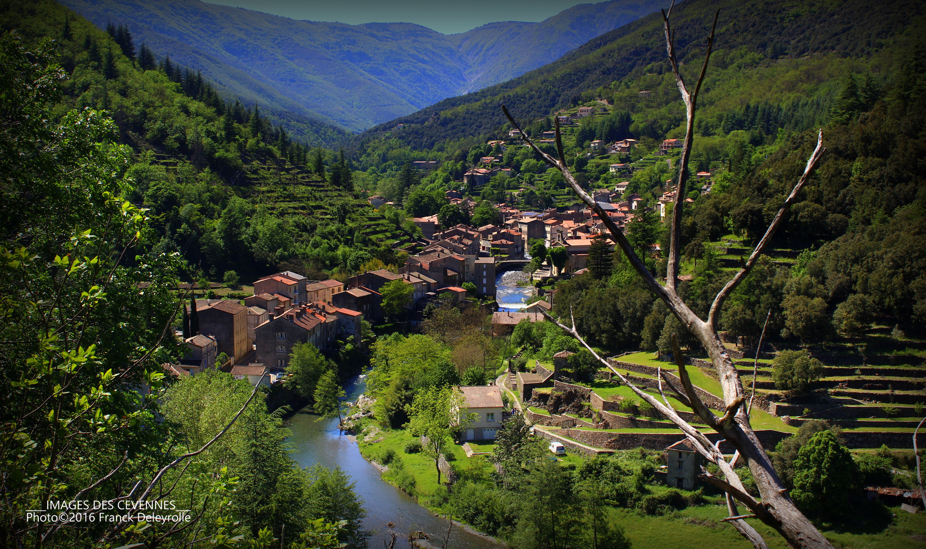 Valleraugue (Cévennes)