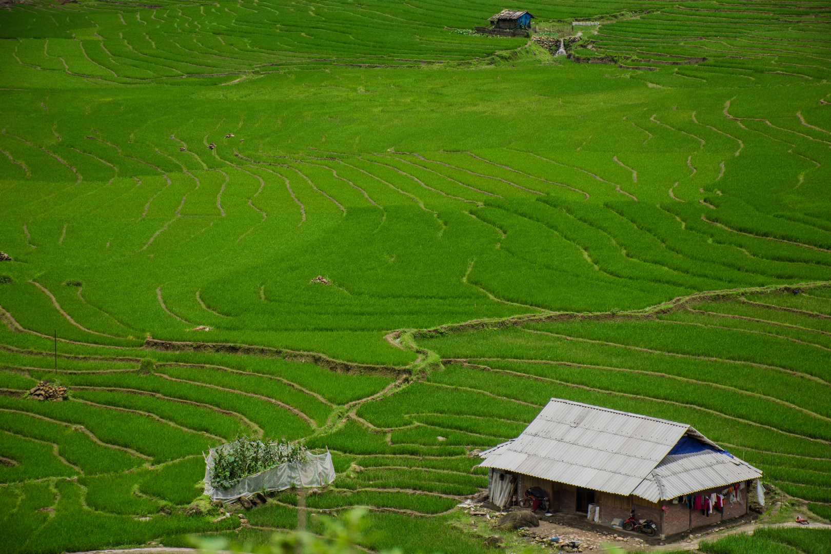 Valles de Sapa