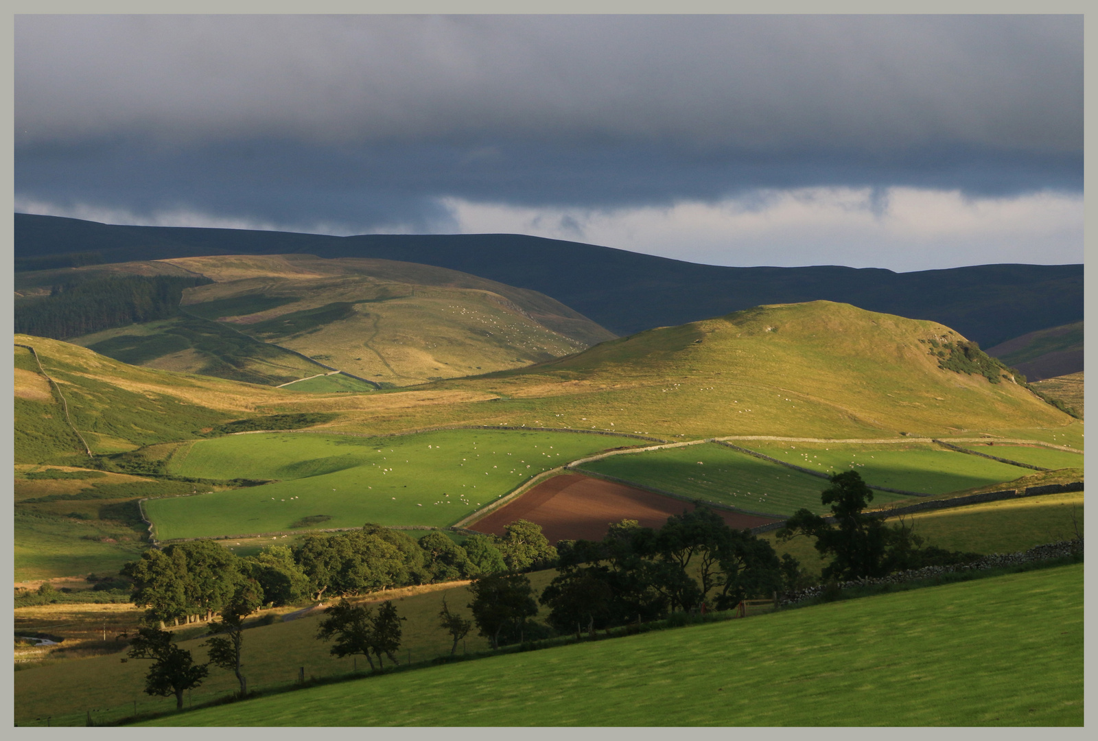 valley above cliftoncote farm in the evening