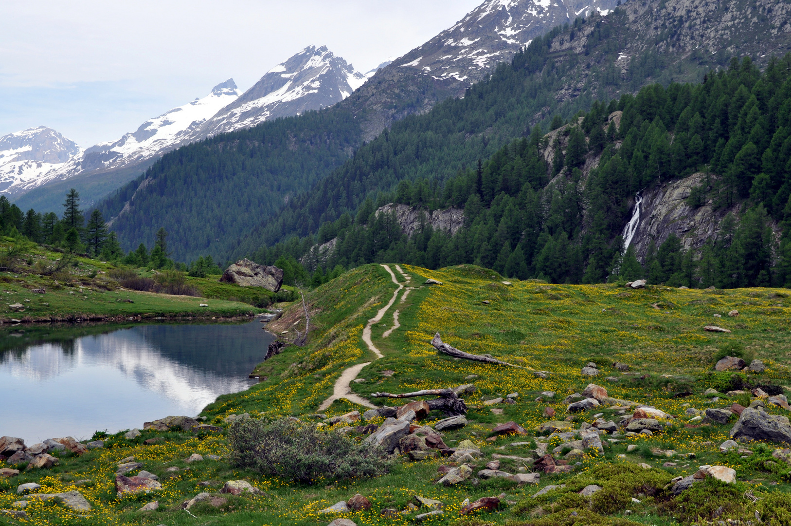 valley affected by glacier