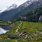 valley affected by glacier