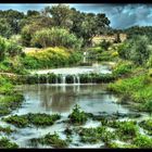 Valley after rain