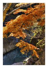 Valley and Autumn leaves