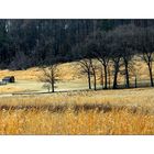 Valley Forge National Historical Park im März