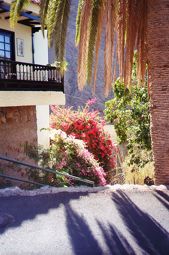 Valley Gran Ray - Gomera