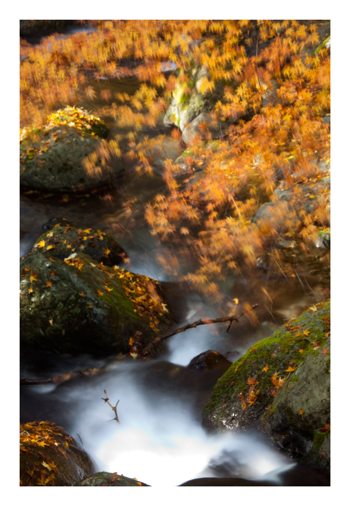 Valley in Autumn