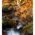 Valley in Autumn