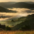 valley mists