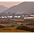 valley near ningbo