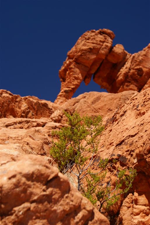 valley of fire von seimar 