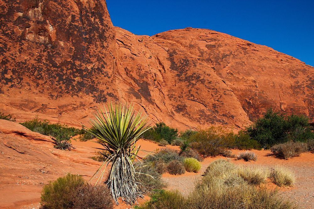 Valley of Fire # 6