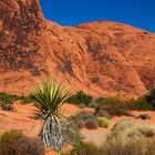 Valley of Fire # 6