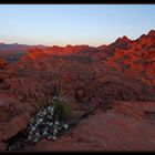 Valley of Fire...