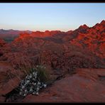 Valley of Fire...