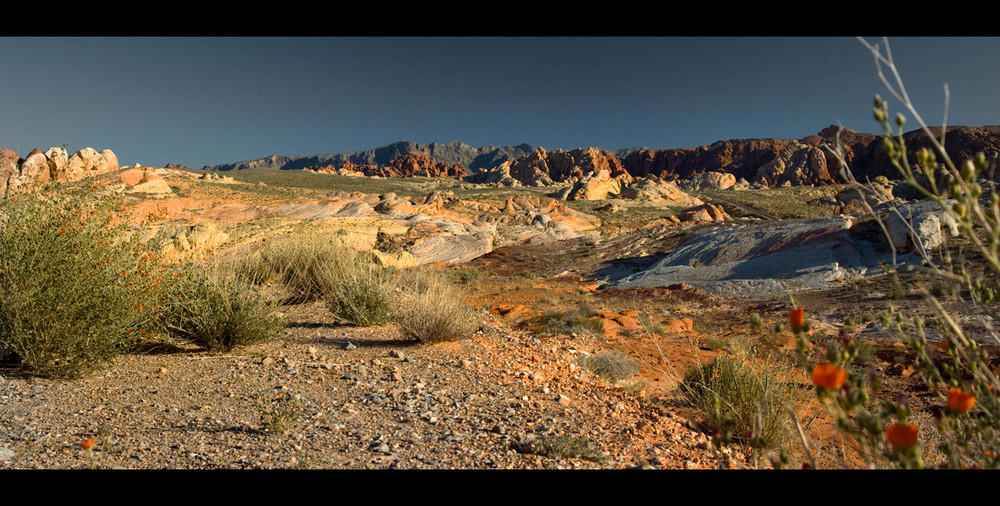 [ Valley of Fire ]