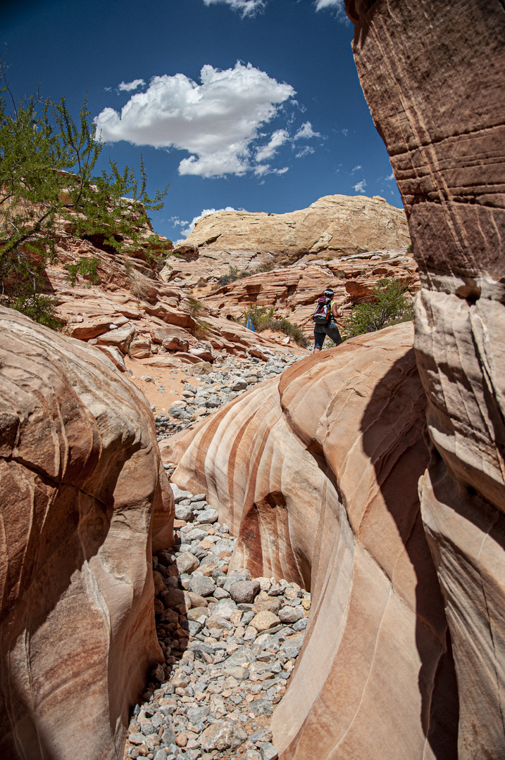 Valley of Fire