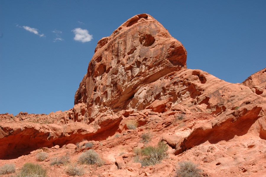 Valley of Fire - gestrandeter Fisch in der Wüste Nevadas