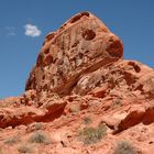 Valley of Fire - gestrandeter Fisch in der Wüste Nevadas