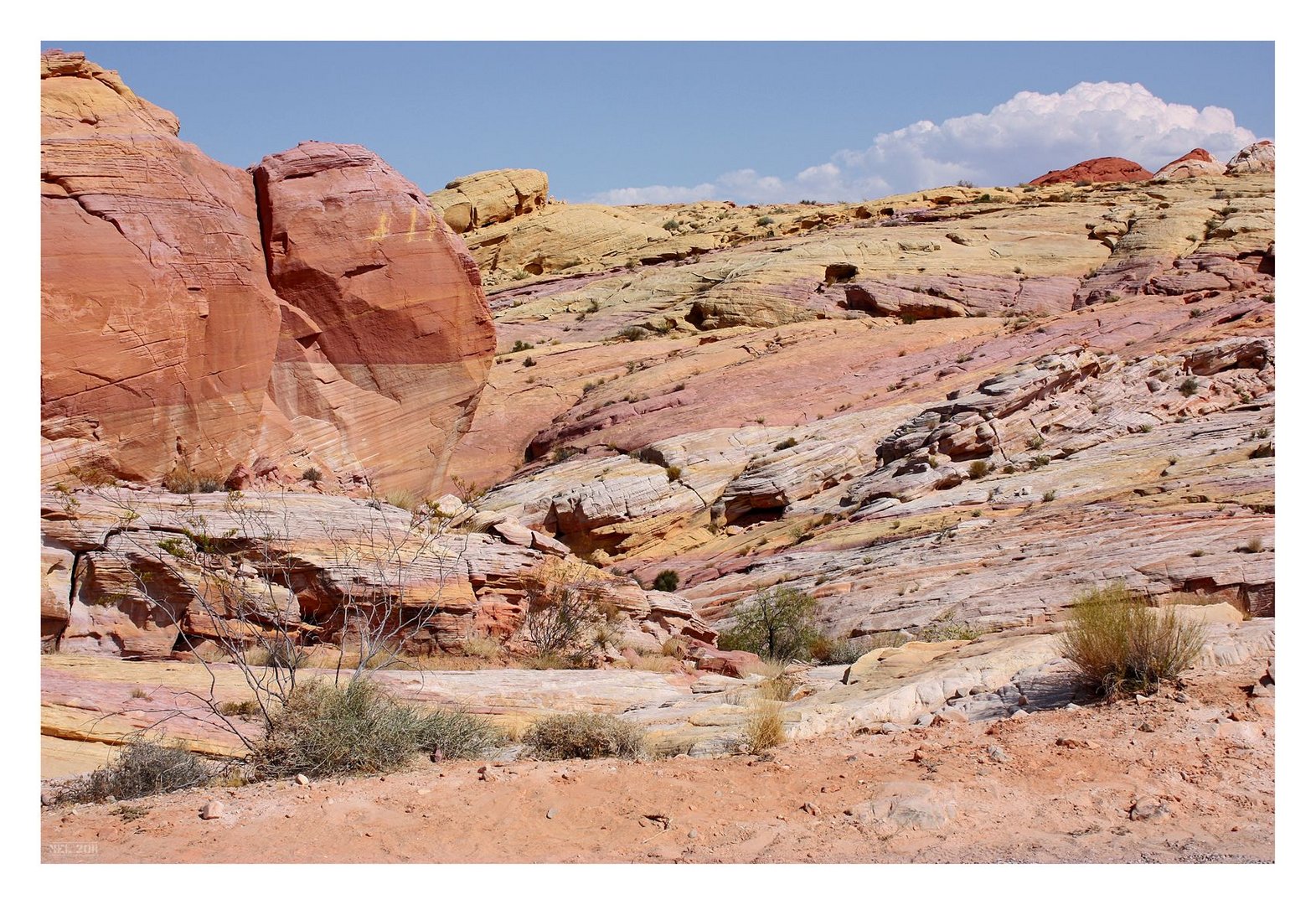 [valley of fire] - I ... colorful stone