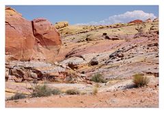 [valley of fire] - I ... colorful stone